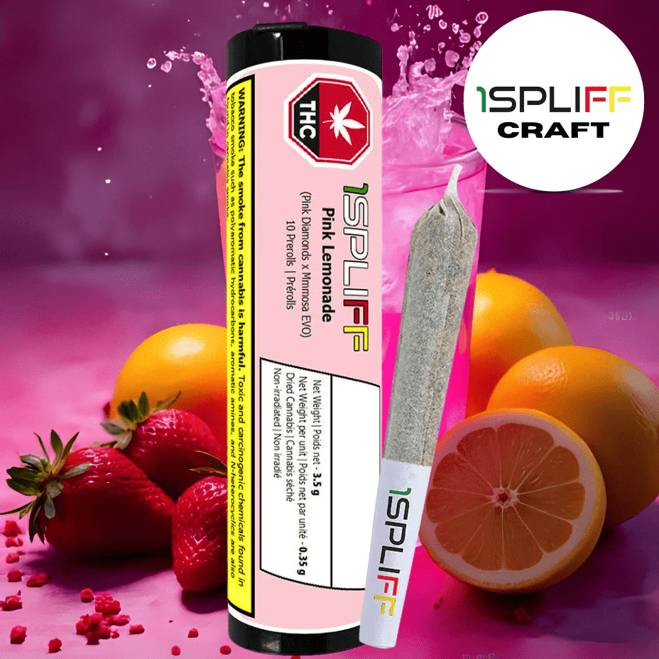 1Spliff Pink Lemonade Indica Pre-Rolls 10x0.35g in Manitoba – Brandon Vape  SuperStore & Cannabis