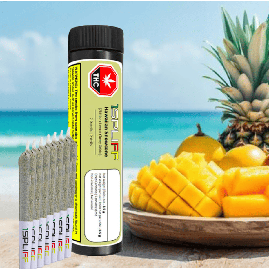 1Spliff Hawaiian Snowcone Hybrid Pre-Roll-7x0.5g Brandon Vape SuperStore and Cannabis Manitoba Canada