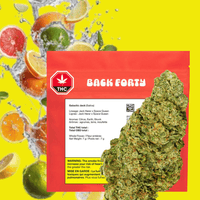 Back Forty Galactic Jack Sativa Flower - 28g Brandon Vape SuperStore and Cannabis Manitoba Canada
