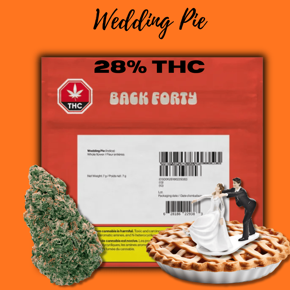 Back Forty Wedding Pie Indica Flower-7g Brandon Vape SuperStore and Cannabis Manitoba Canada