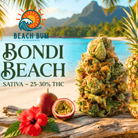 Beach Bum Bondi Beach Sativa Flower - 28g Brandon Vape SuperStore and Cannabis Manitoba Canada
