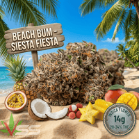 Beach Bum Siesta Fiesta Indica Flower-14g Brandon Vape SuperStore and Cannabis Manitoba Canada