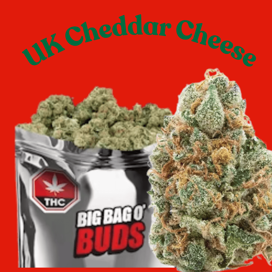 Big Bag Buds UK Cheddar Cheese Indica Flower-28g Brandon Vape SuperStore and Cannabis Manitoba Canada