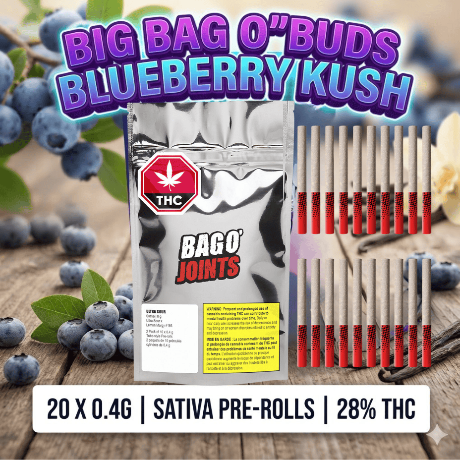 Big Bag O' Buds Blueberry Dream Kush Sativa Pre-Rolls-20x0.4g Brandon Vape SuperStore and Cannabis Manitoba Canada