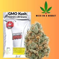 Big Bag O Buds GMO Kush Indica Flower 28g 28g Brandon Vape SuperStore and Cannabis Manitoba Canada