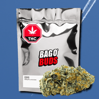 Big Bag O' Buds Jet Fuel Pie Flower - 14g Brandon Vape SuperStore and Cannabis Manitoba Canada