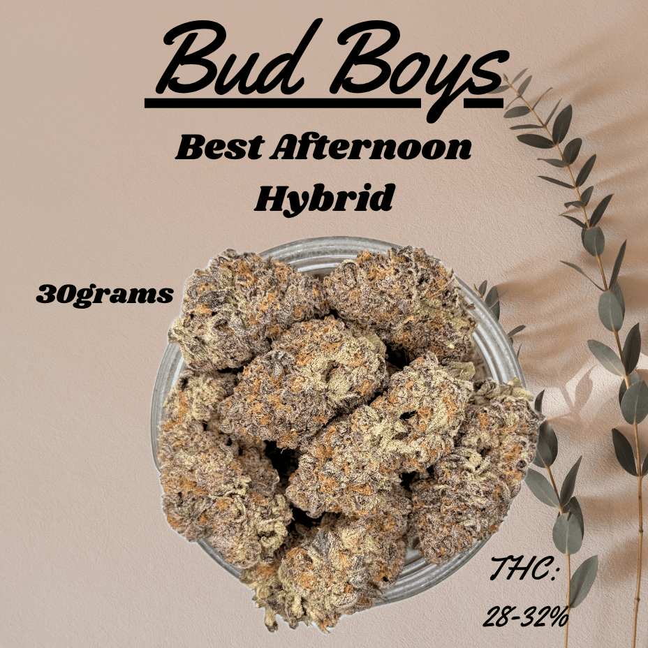 Bud Boys Best Afternoon Hybrid Flower - 30g 30g Brandon Vape SuperStore and Cannabis Manitoba Canada