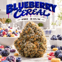 Bud Boys Blueberry Cereal Hybrid Flower - 28g Brandon Vape SuperStore and Cannabis Manitoba Canada