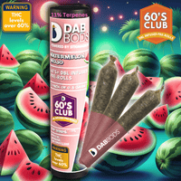 Dab Bods Watermelon Mojo 60's+ Dbl Infused Pre-rolls 3x0.5g 3x0.5g Brandon Vape SuperStore and Cannabis Manitoba Canada