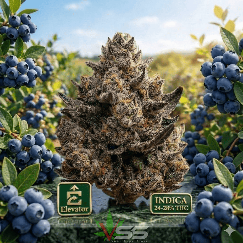 Elevator Blueberry Kush Indica CRAFT Flower-3.5g Brandon Vape SuperStore and Cannabis Manitoba Canada
