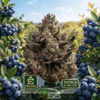 Elevator Blueberry Kush Indica CRAFT Flower-3.5g Brandon Vape SuperStore and Cannabis Manitoba Canada
