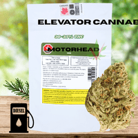 Elevator Motorhead Hybrid Craft Flower-14g Brandon Vape SuperStore and Cannabis Manitoba Canada