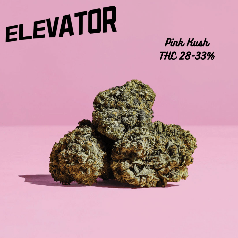 Elevator Pink Kush Flower - 28g Brandon Vape SuperStore and Cannabis Manitoba Canada