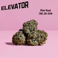 Elevator Pink Kush Flower - 28g Brandon Vape SuperStore and Cannabis Manitoba Canada
