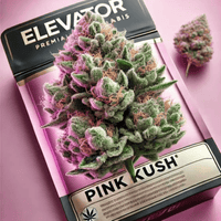 Elevator Pink Kush Indica Flower - 28g Brandon Vape SuperStore and Cannabis Manitoba Canada