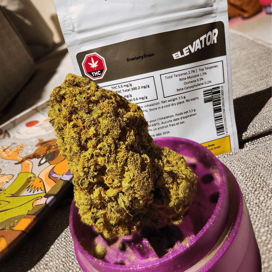 Elevator Strawberry Dream Sativa Flower-7g 7g Brandon Vape SuperStore and Cannabis Manitoba Canada