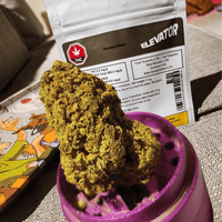 Elevator Strawberry Dream Sativa Flower-7g 7g Brandon Vape SuperStore and Cannabis Manitoba Canada