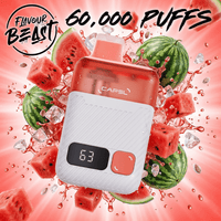 Flavour Beast CAPSL AFX17 60K Disposable Vape-Watermelon Ice 20mg/ml / 60K Brandon Vape SuperStore and Cannabis Manitoba Canada