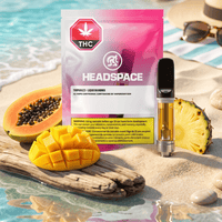 Headspace Troparazzi Liquid Diamond Indica AIO Disposable-0.95g Brandon Vape SuperStore and Cannabis Manitoba Canada