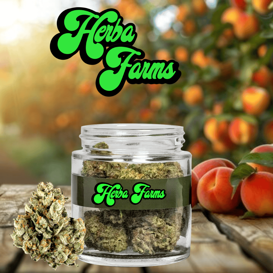 Herba farms Fuzzy Peaches Indica CRAFT Flower-3.5g Brandon Vape SuperStore and Cannabis Manitoba Canada