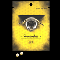 Honeybee Herb Honey Terp Pearls-6mm Brandon Vape SuperStore and Cannabis Manitoba Canada