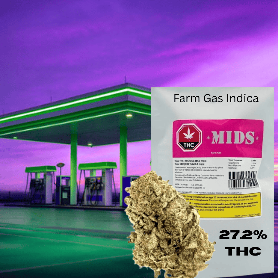 Mids Farm Gas Indica Flower-28g Brandon Vape SuperStore and Cannabis Manitoba Canada