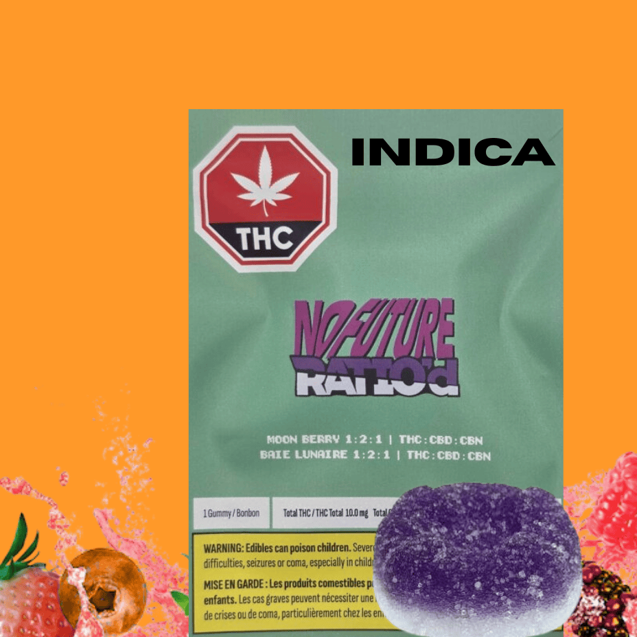 No Future Ratio'd Moon Berry THC:CBD:CBN Gummies-10g Brandon Vape SuperStore and Cannabis Manitoba Canada