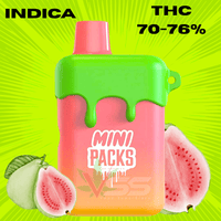 PACKS - Mini Packs Guava Gum Disposable Vape - 1g Brandon Vape SuperStore and Cannabis Manitoba Canada