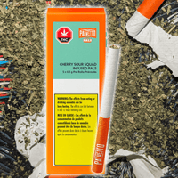 Palmetto Cherry Sour Squad Infused PALS Pre-rolls 5x0.5g 5x0.5g Brandon Vape SuperStore and Cannabis Manitoba Canada