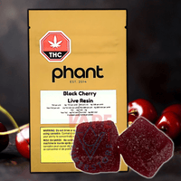 Phant Black Cherry Live Resin Gummies 2x5mg Brandon Vape SuperStore and Cannabis Manitoba Canada