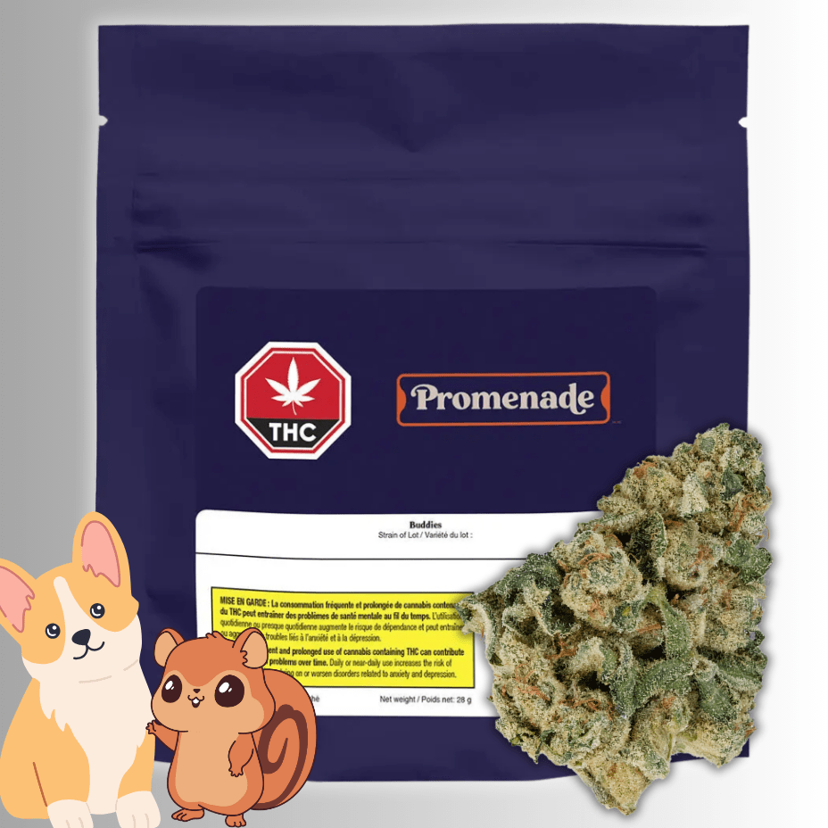 Promenade Buddies Hybrid Flower-28g Brandon Vape SuperStore and Cannabis Manitoba Canada