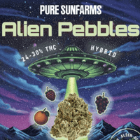 Pure SunFarms Alien Pebbles Hybrid Pre-Rolls-10x0.35g Brandon Vape SuperStore and Cannabis Manitoba Canada