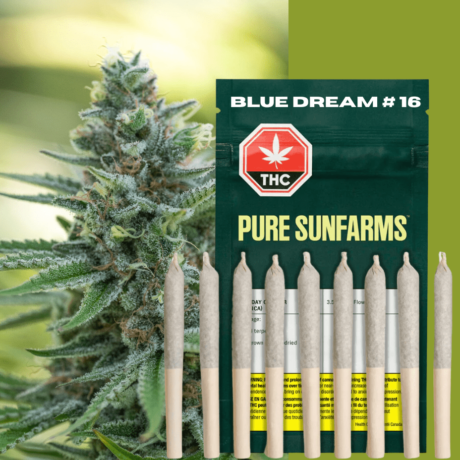 Pure Sunfarms Blue Dream #16 Pre-Rolls-10x0.35g Brandon Vape SuperStore and Cannabis Manitoba Canada