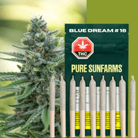 Pure Sunfarms Blue Dream #16 Pre-Rolls-10x0.35g Brandon Vape SuperStore and Cannabis Manitoba Canada