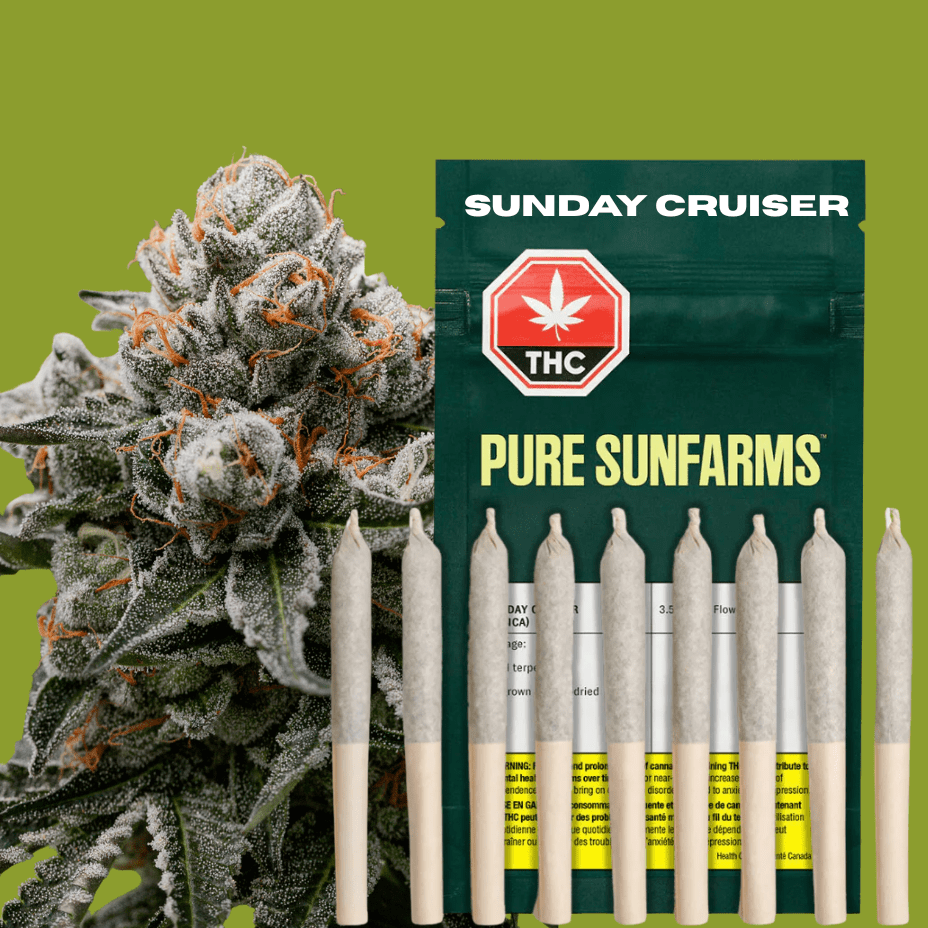 Pure Sunfarms Sunday Cruiser Indica Pre-Rolls-10x0.35g Brandon Vape SuperStore and Cannabis Manitoba Canada