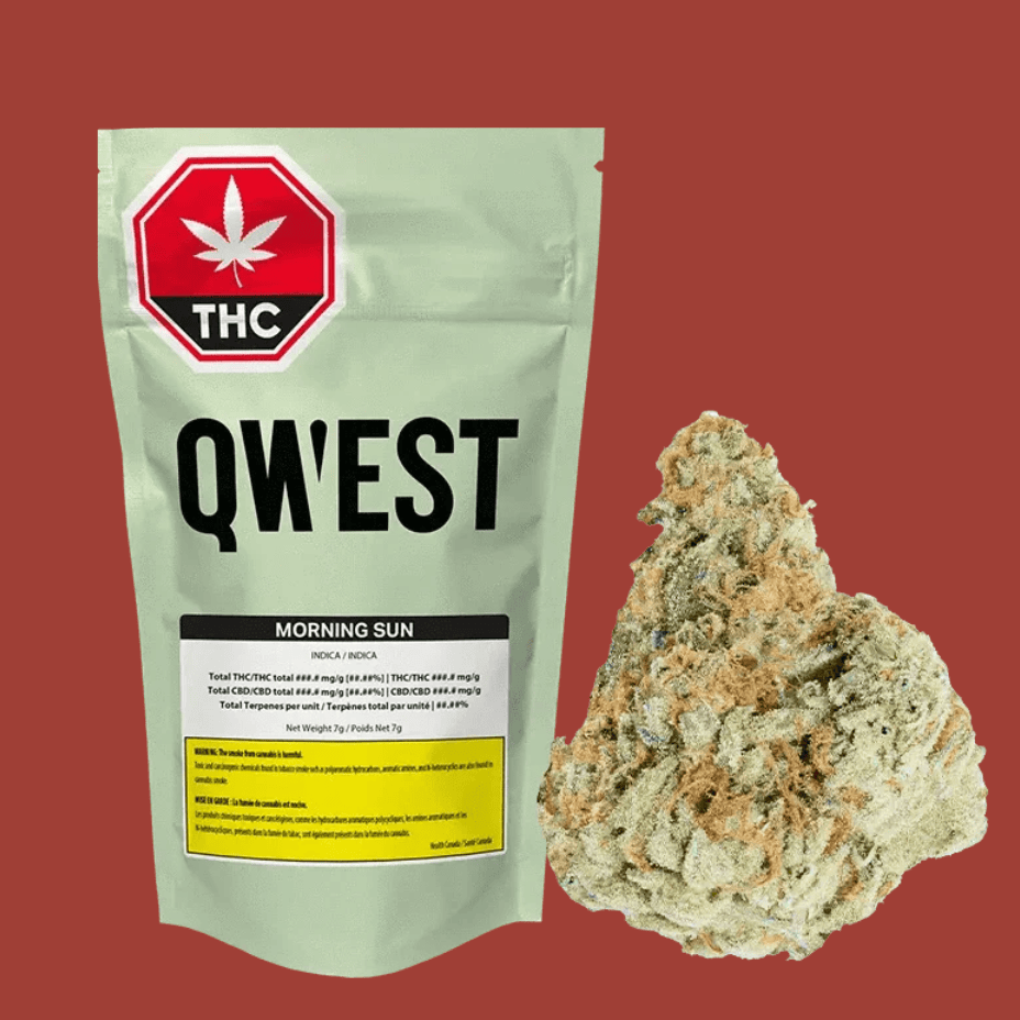 Qwest Morning Sun CRAFT Indica Flower-14g Brandon Vape SuperStore and Cannabis Manitoba Canada