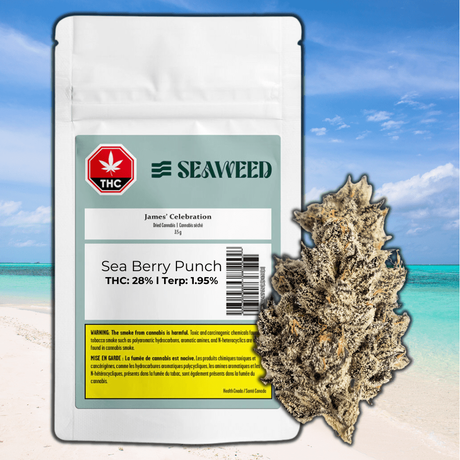 Seaweed Craft Cannabis James' Celebration Flower-3.5g 3.5g Brandon Vape SuperStore and Cannabis Manitoba Canada