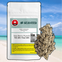 Seaweed Craft Cannabis James' Celebration Flower-3.5g 3.5g Brandon Vape SuperStore and Cannabis Manitoba Canada