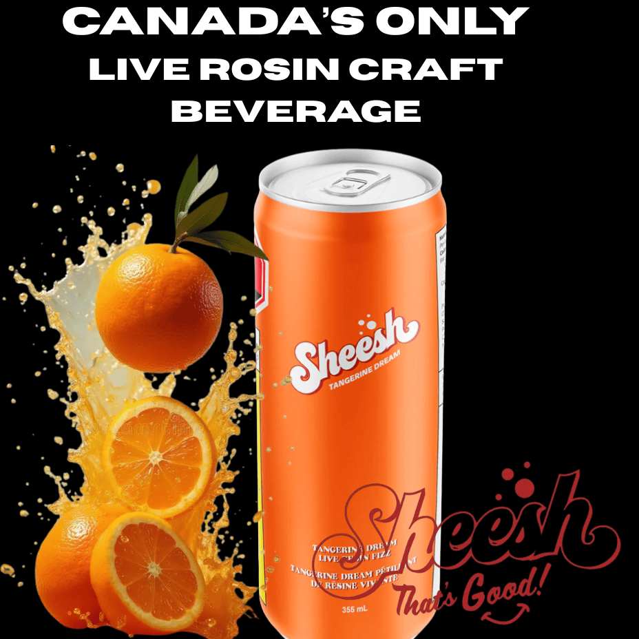 Sheesh Hash Soda Banjorine Live Rosin Cola THC Beverage - 355mL Brandon Vape SuperStore and Cannabis Manitoba Canada