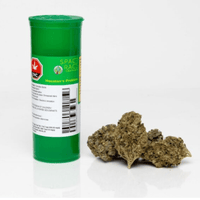 Space Race Houstons Problem Sativa flower - 7g Brandon Vape SuperStore and Cannabis Manitoba Canada