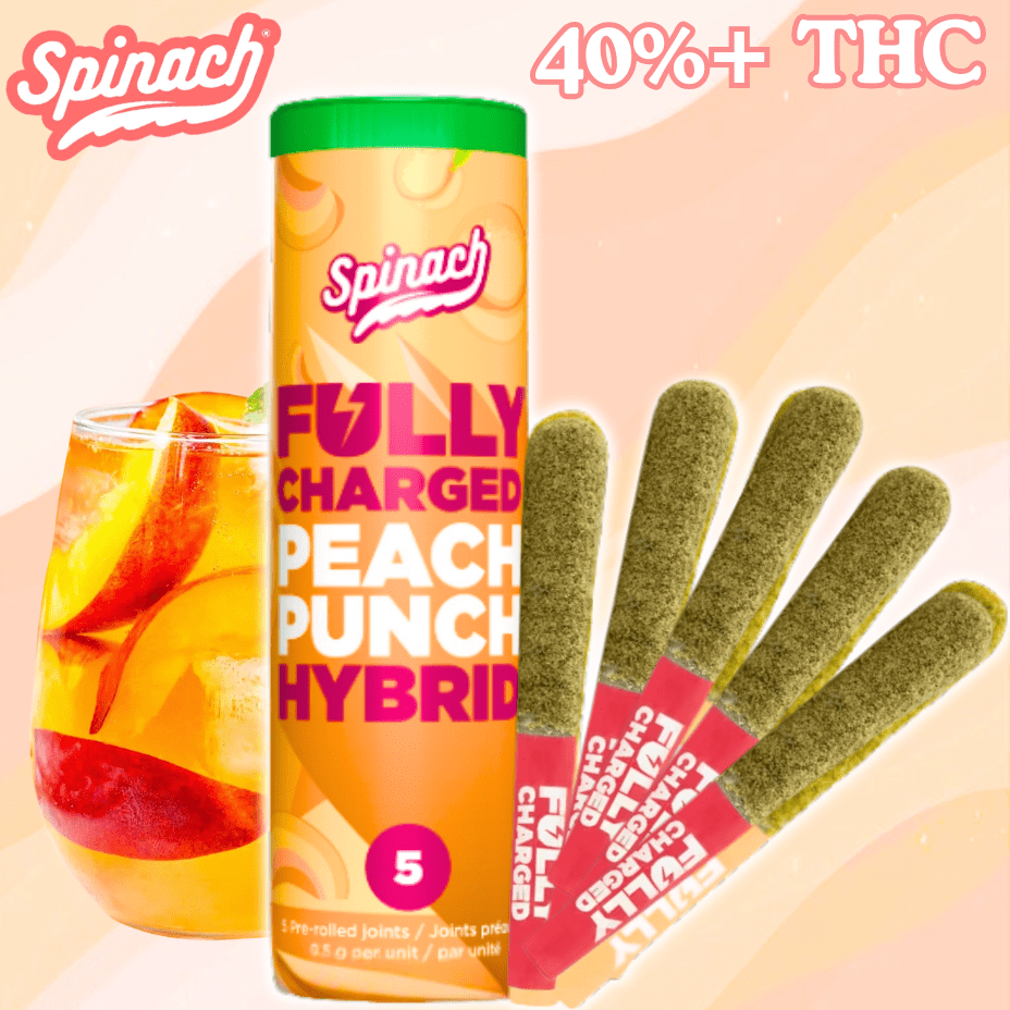Spinach Fully Charged Peach Punch Hybrid Infused Pre-Rolls - 5x0.5g Brandon Vape SuperStore and Cannabis Manitoba Canada