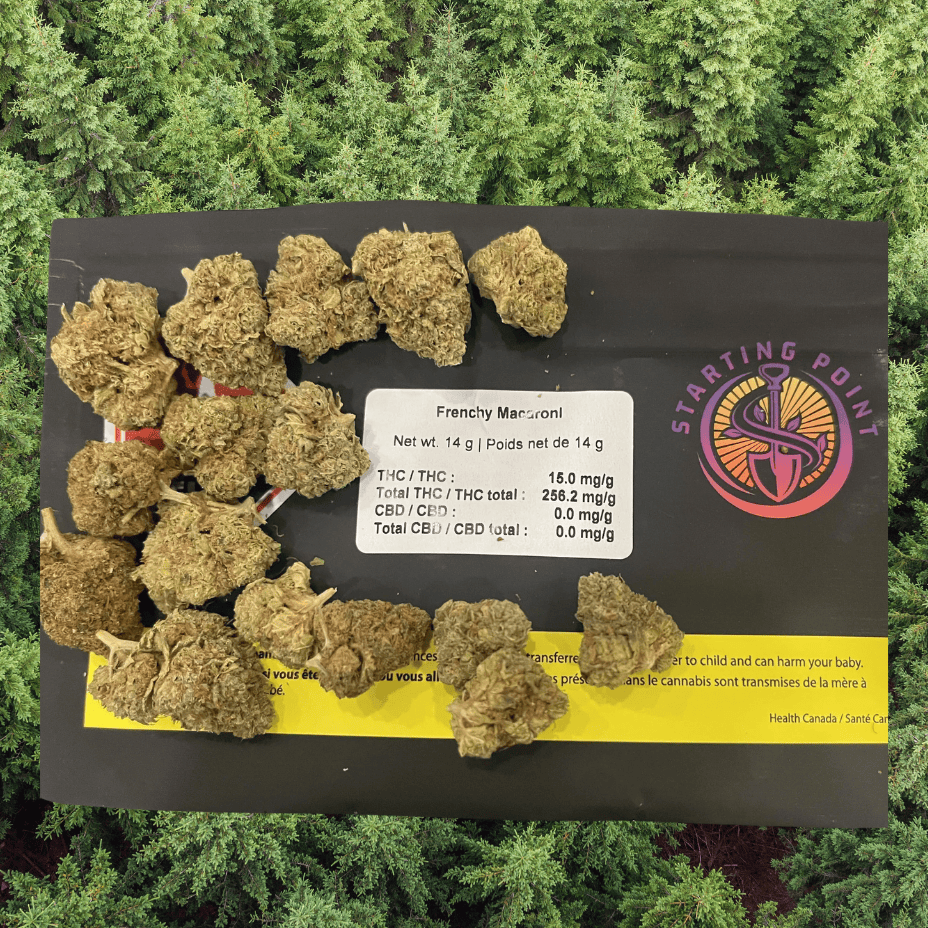 Starting Point Frenchy Macaroni Hybrid Flower - 28g Brandon Vape SuperStore and Cannabis Manitoba Canada