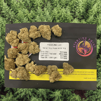 Starting Point Frenchy Macaroni Hybrid Flower - 28g Brandon Vape SuperStore and Cannabis Manitoba Canada