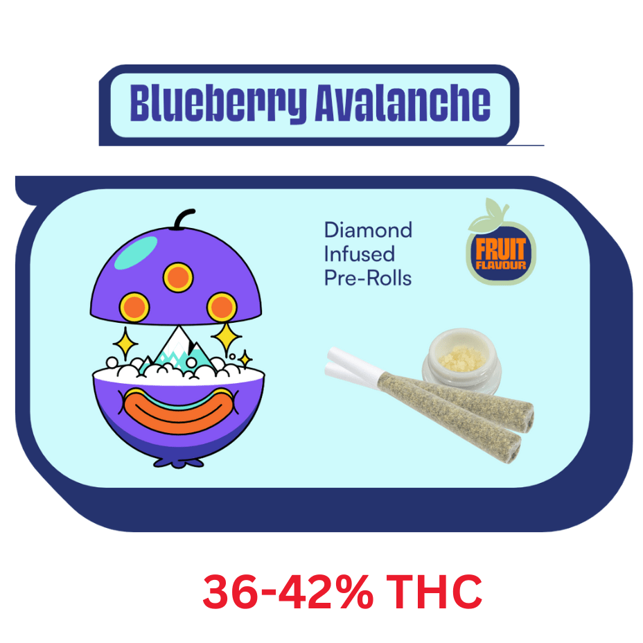 Terra Labs Blueberry Avalanche Diamond Infused Pre-rolls 3x0.5g 3x0.5g Brandon Vape SuperStore and Cannabis Manitoba Canada