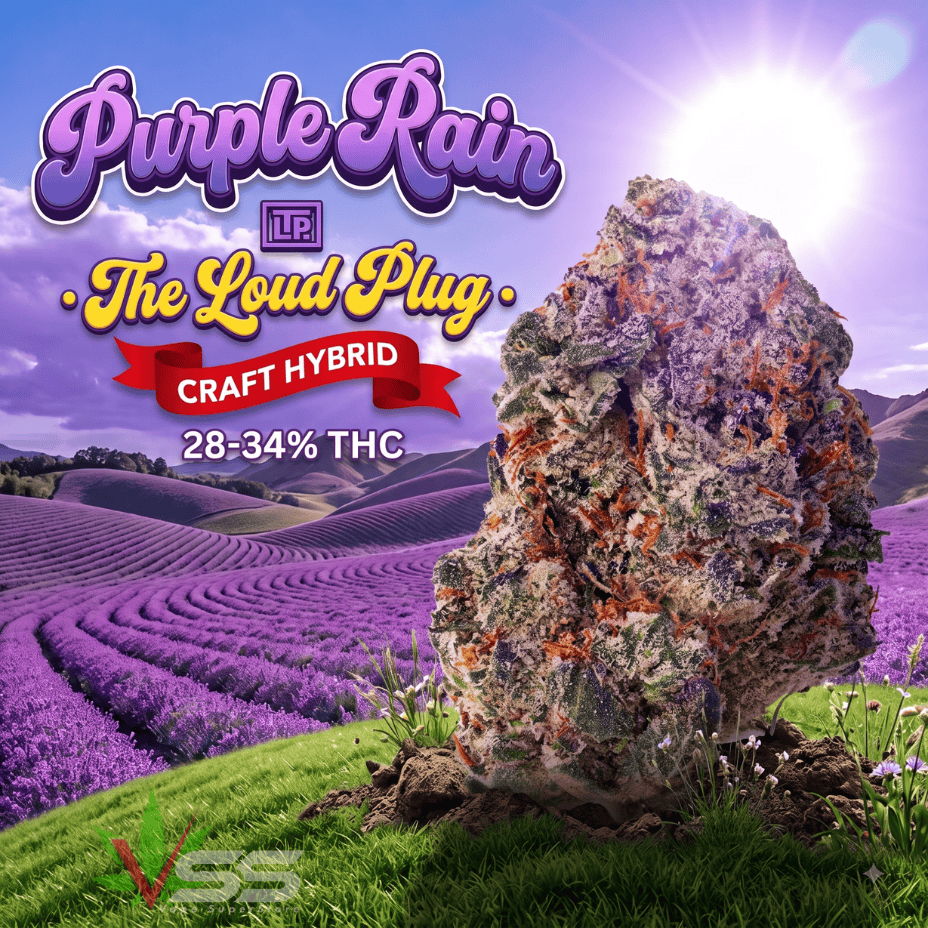 The Loud Plug Purple Rain Hybrid Flower-7g Brandon Vape SuperStore and Cannabis Manitoba Canada