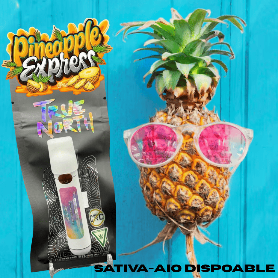 True North Pineapple Express Sativa AIO Disposable Vape-1g Brandon Vape SuperStore and Cannabis Manitoba Canada