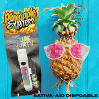 True North Pineapple Express Sativa AIO Disposable Vape-1g Brandon Vape SuperStore and Cannabis Manitoba Canada