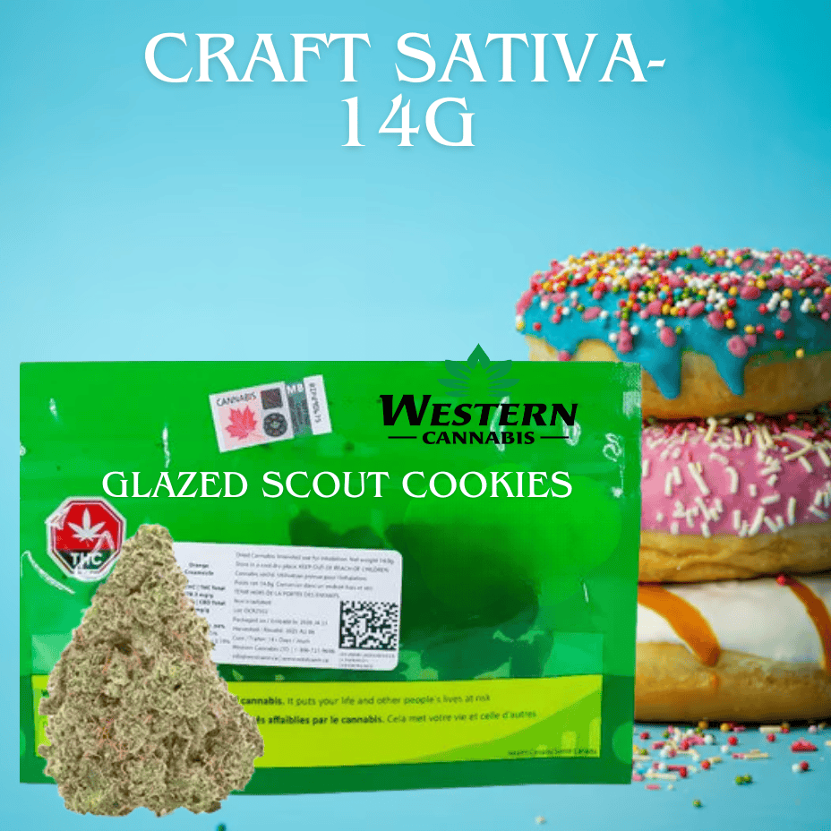 Western Cannabis Glazed Scout Cookies Sativa CRAFT Flower - 14g Brandon Vape SuperStore and Cannabis Manitoba Canada