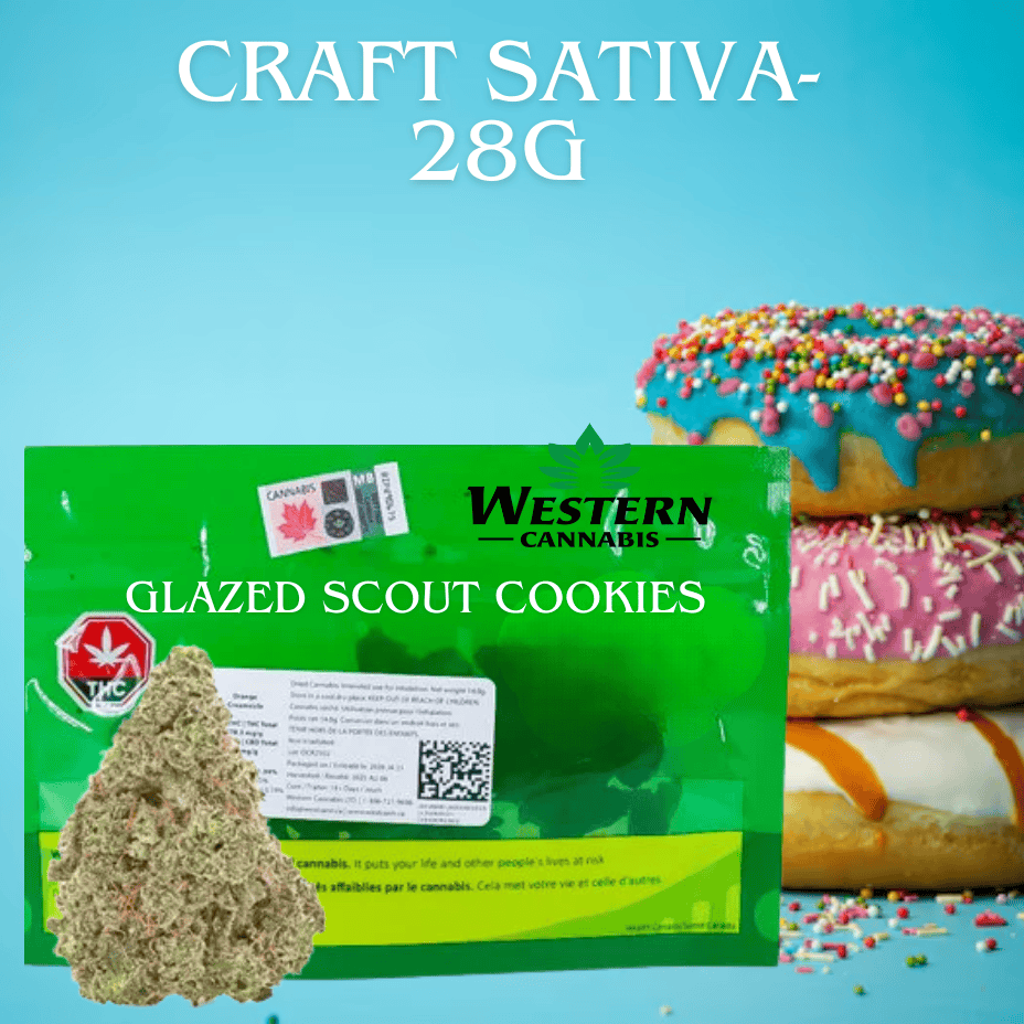 Western Cannabis Glazed Scout Cookies Sativa CRAFT Flower - 28g Brandon Vape SuperStore and Cannabis Manitoba Canada
