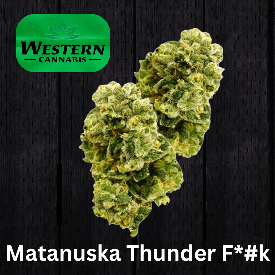 Western Cannabis Matanuska Thunder F*#k Flower - 1g Brandon Vape SuperStore and Cannabis Manitoba Canada
